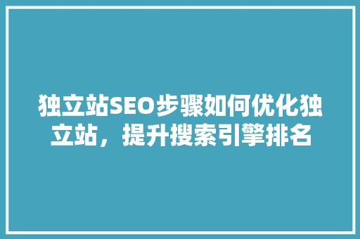 独立站SEO步骤如何优化独立站，提升搜索引擎排名