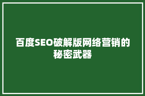 百度SEO破解版网络营销的秘密武器