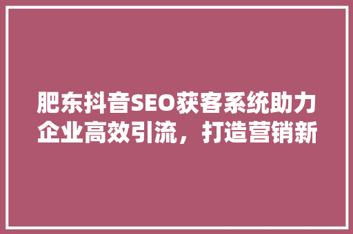 肥东抖音SEO获客系统助力企业高效引流，打造营销新格局
