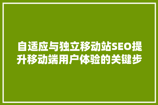 自适应与独立移动站SEO提升移动端用户体验的关键步骤