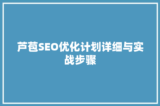 芦苞SEO优化计划详细与实战步骤