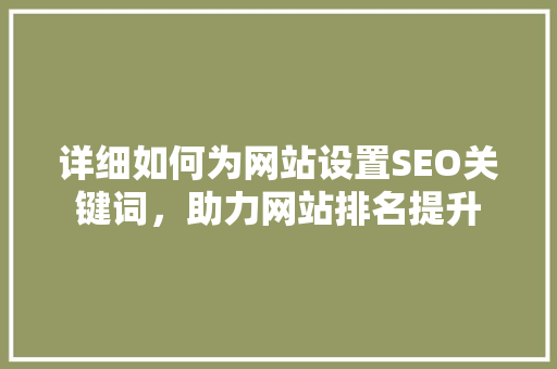 详细如何为网站设置SEO关键词，助力网站排名提升