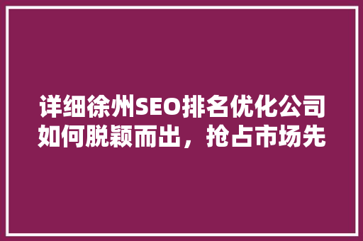 详细徐州SEO排名优化公司如何脱颖而出，抢占市场先机