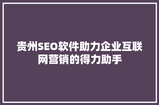 贵州SEO软件助力企业互联网营销的得力助手