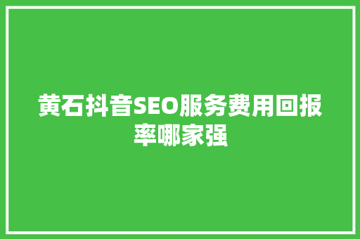 黄石抖音SEO服务费用回报率哪家强