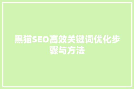 黑猫SEO高效关键词优化步骤与方法