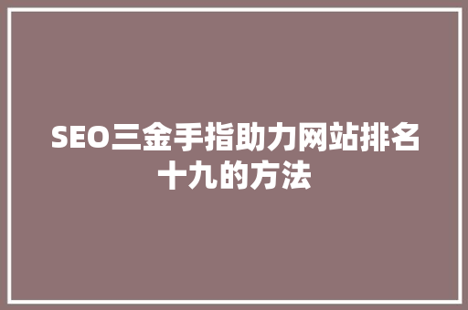 SEO三金手指助力网站排名十九的方法