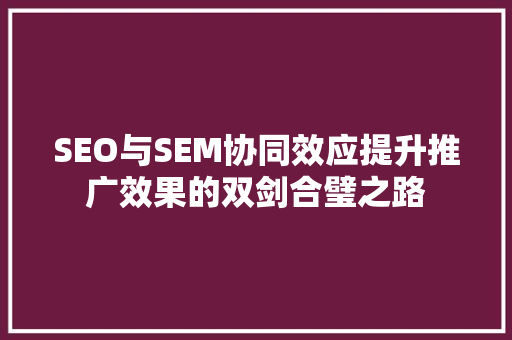 SEO与SEM协同效应提升推广效果的双剑合璧之路