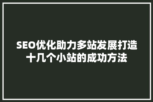 SEO优化助力多站发展打造十几个小站的成功方法