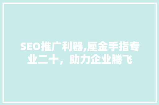 SEO推广利器,厘金手指专业二十，助力企业腾飞  第1张