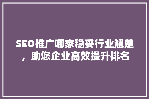 SEO推广哪家稳妥行业翘楚，助您企业高效提升排名