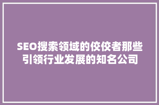 SEO搜索领域的佼佼者那些引领行业发展的知名公司