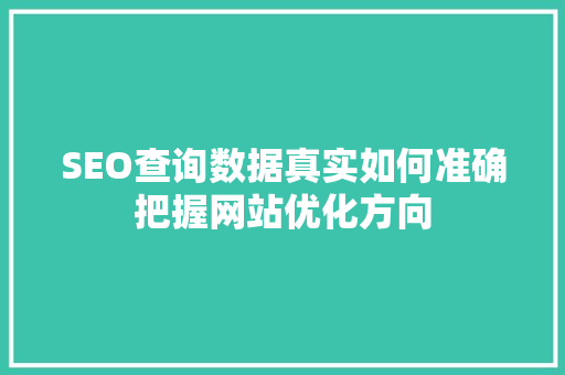SEO查询数据真实如何准确把握网站优化方向