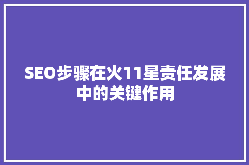 SEO步骤在火11星责任发展中的关键作用