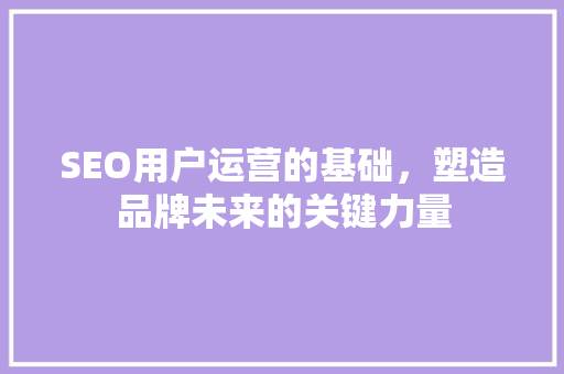 SEO用户运营的基础，塑造品牌未来的关键力量