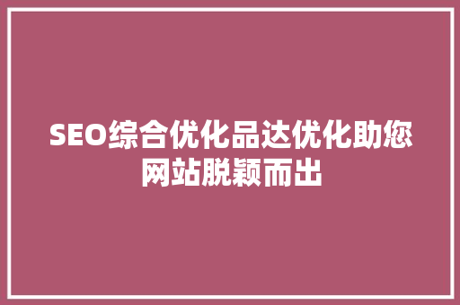 SEO综合优化品达优化助您网站脱颖而出