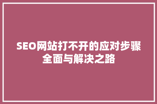 SEO网站打不开的应对步骤全面与解决之路