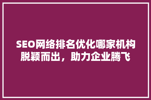 SEO网络排名优化哪家机构脱颖而出，助力企业腾飞