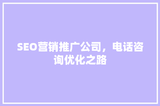 SEO营销推广公司，电话咨询优化之路