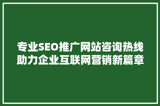 专业SEO推广网站咨询热线助力企业互联网营销新篇章