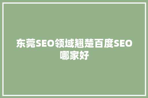 东莞SEO领域翘楚百度SEO哪家好