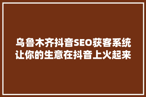 乌鲁木齐抖音SEO获客系统让你的生意在抖音上火起来