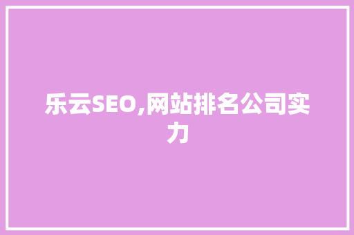 乐云SEO,网站排名公司实力