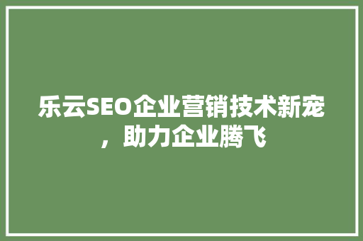 乐云SEO企业营销技术新宠，助力企业腾飞