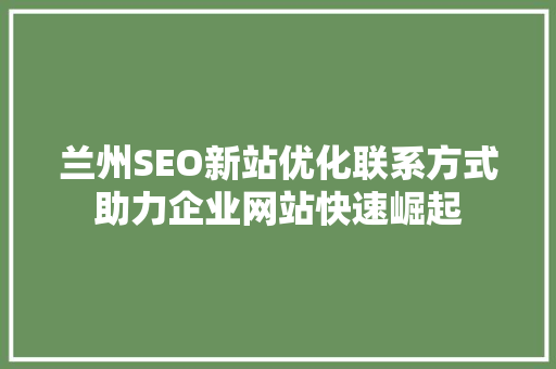 兰州SEO新站优化联系方式助力企业网站快速崛起