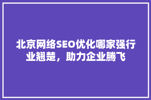 北京网络SEO优化哪家强行业翘楚，助力企业腾飞