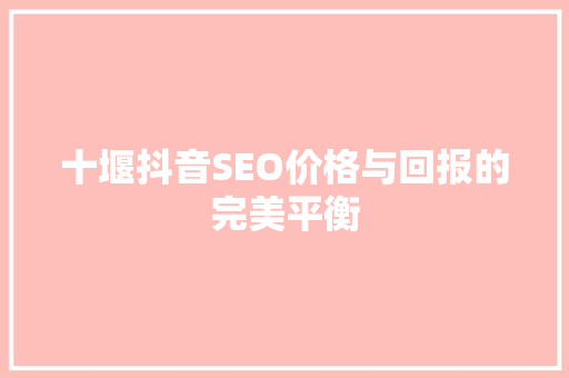 十堰抖音SEO价格与回报的完美平衡