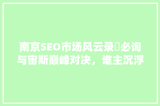 南京SEO市场风云录牜必询与宙斯巅峰对决，谁主沉浮