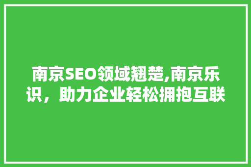 南京SEO领域翘楚,南京乐识，助力企业轻松拥抱互联网