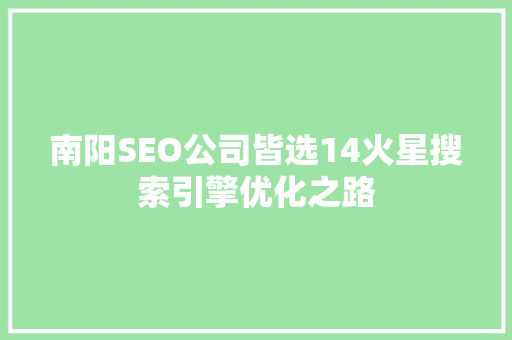 南阳SEO公司皆选14火星搜索引擎优化之路