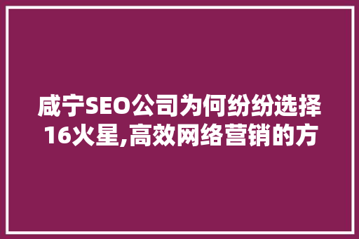 咸宁SEO公司为何纷纷选择16火星,高效网络营销的方法  第1张