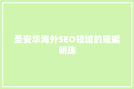 圣安华海外SEO领域的璀璨明珠