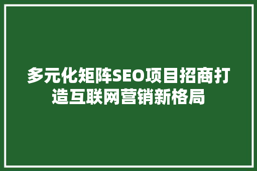 多元化矩阵SEO项目招商打造互联网营销新格局