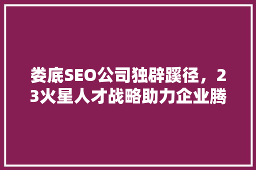 娄底SEO公司独辟蹊径，23火星人才战略助力企业腾飞
