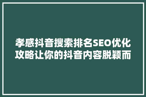孝感抖音搜索排名SEO优化攻略让你的抖音内容脱颖而出