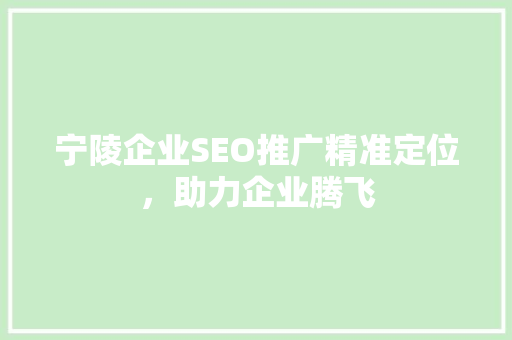 宁陵企业SEO推广精准定位，助力企业腾飞