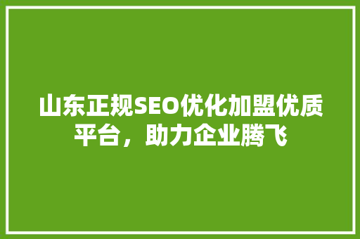山东正规SEO优化加盟优质平台，助力企业腾飞