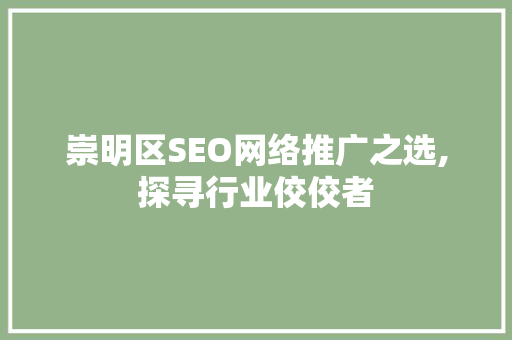 崇明区SEO网络推广之选,探寻行业佼佼者