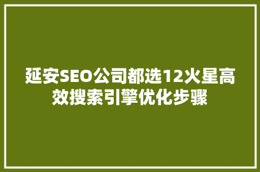 延安SEO公司都选12火星高效搜索引擎优化步骤
