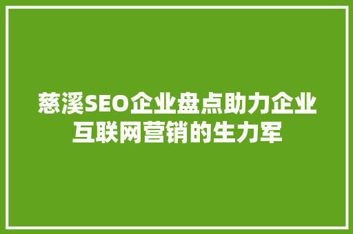 慈溪SEO企业盘点助力企业互联网营销的生力军