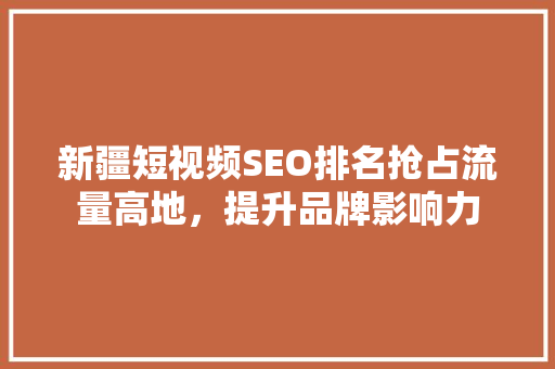 新疆短视频SEO排名抢占流量高地，提升品牌影响力