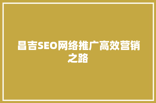 昌吉SEO网络推广高效营销之路