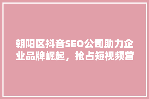 朝阳区抖音SEO公司助力企业品牌崛起，抢占短视频营销制高点