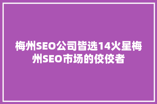梅州SEO公司皆选14火星梅州SEO市场的佼佼者  第1张
