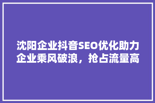 沈阳企业抖音SEO优化助力企业乘风破浪，抢占流量高地