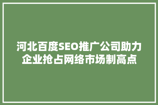 河北百度SEO推广公司助力企业抢占网络市场制高点